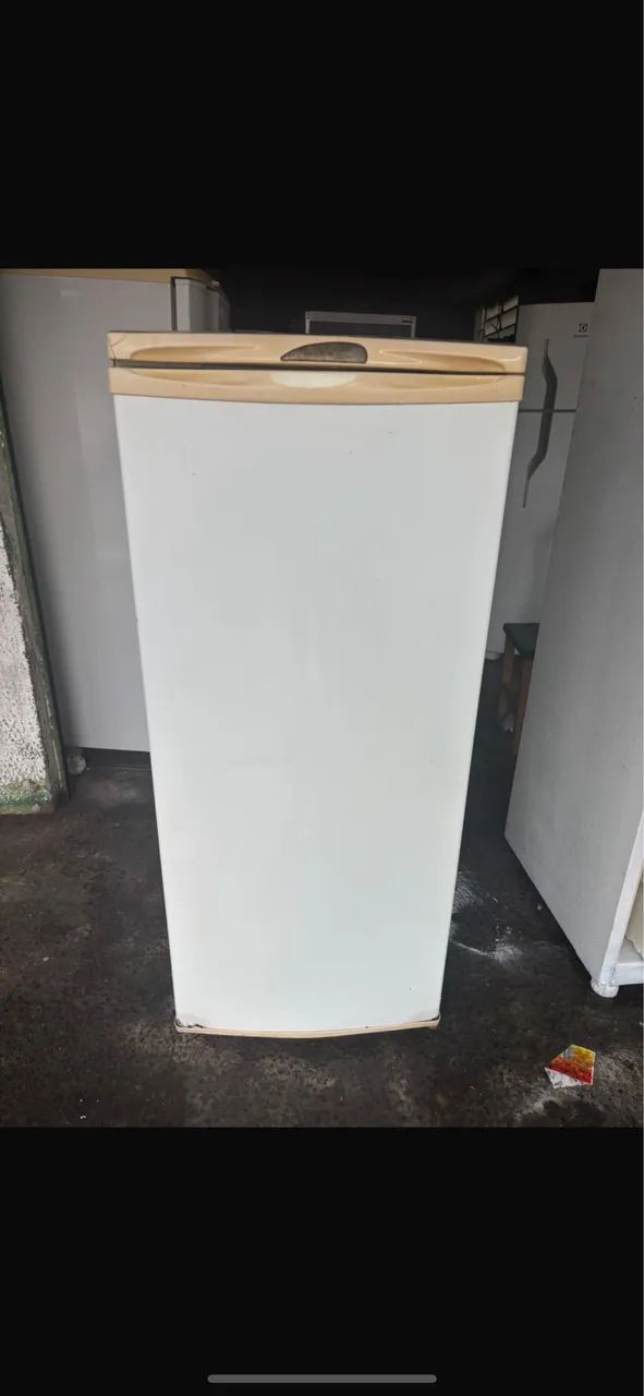 Freezer Electrolux  - Foto 3