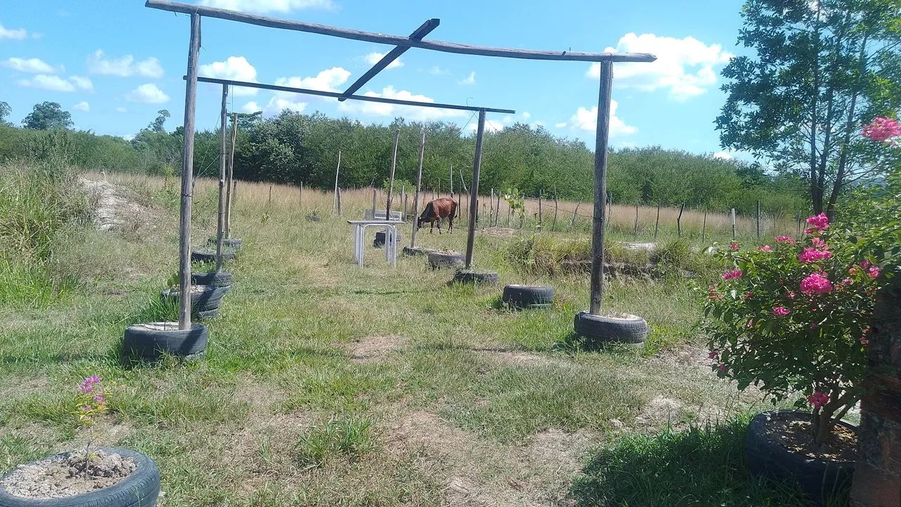 Vendo sitio em nova Iguaçu!