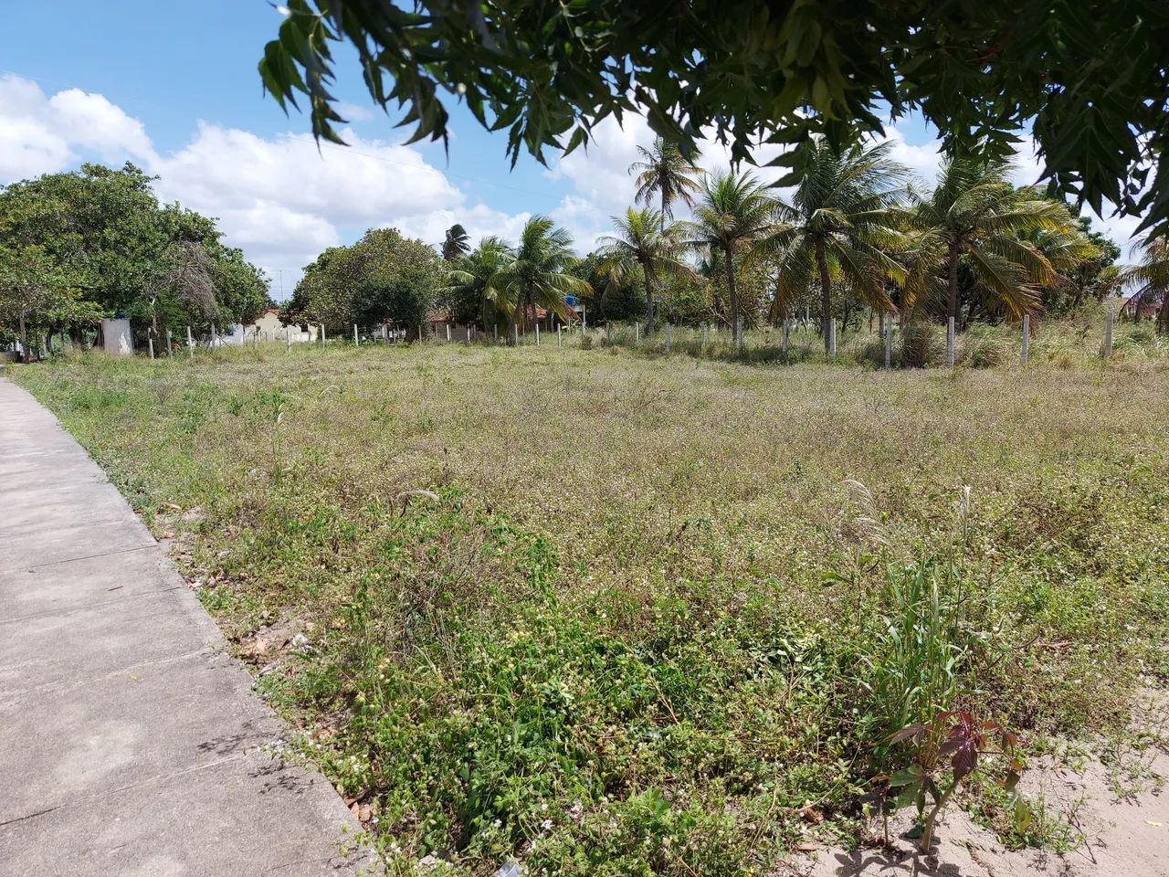 Foto - João Pessoa - Castelo Branco