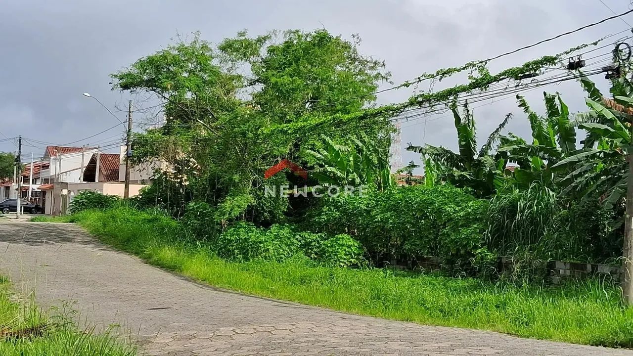 Lote em Rua Pernambuco - Stella Mares - Peruíbe/SP - Foto 4