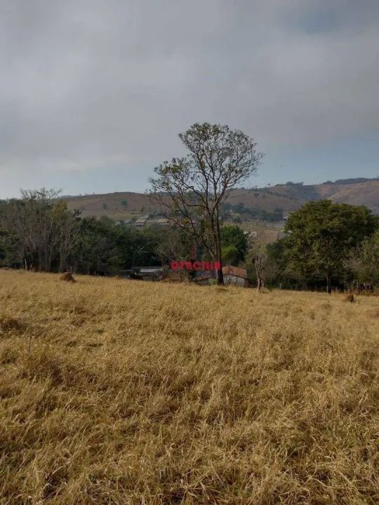 Terreno à venda, 20832 m² por R$ 1.100.000 - Barreiro - Taubaté/SP - Foto 6