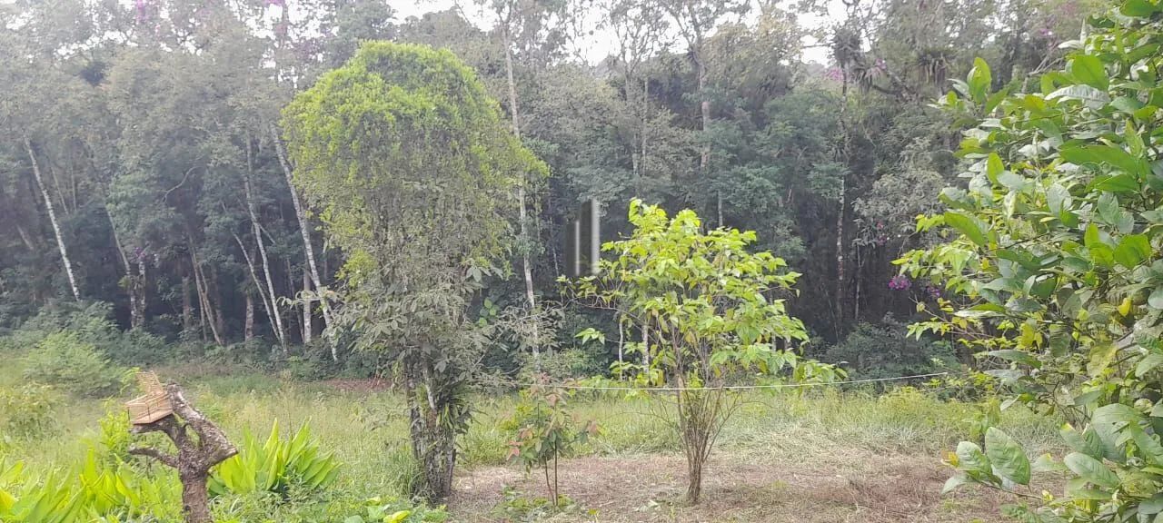 SÍTIO NO MUNICÍPIO DE TAPIRAÍ SP. VENDA - Foto 3