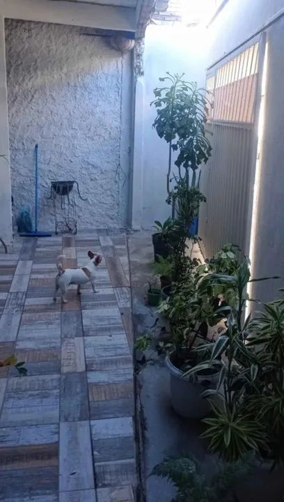 Vendo casa em Planaltina - Foto 5