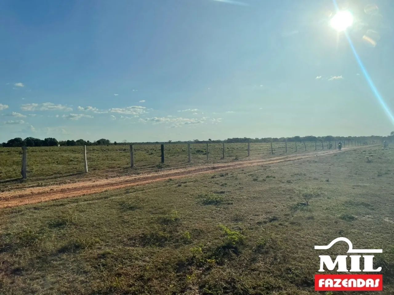 Fazenda em Talismã-TO. . 55 Alq. (266 Há). Boa p/ Soja - Foto 3