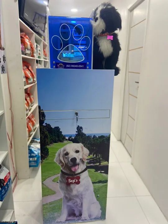 Maquina de gravação de plaquinhas Pet (nomes) - Foto 2