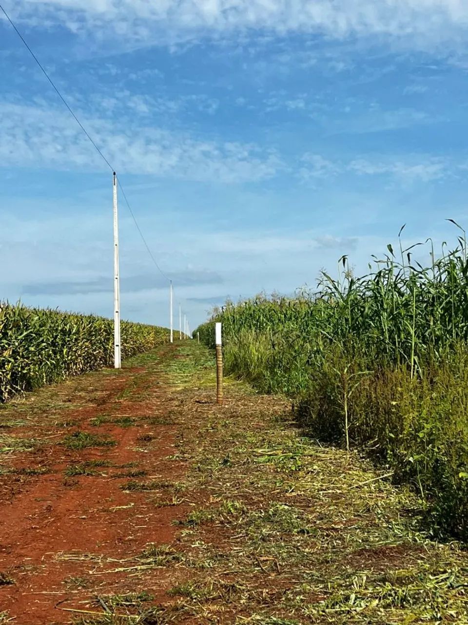 Foto - Dourados - Vila Cuiabá
