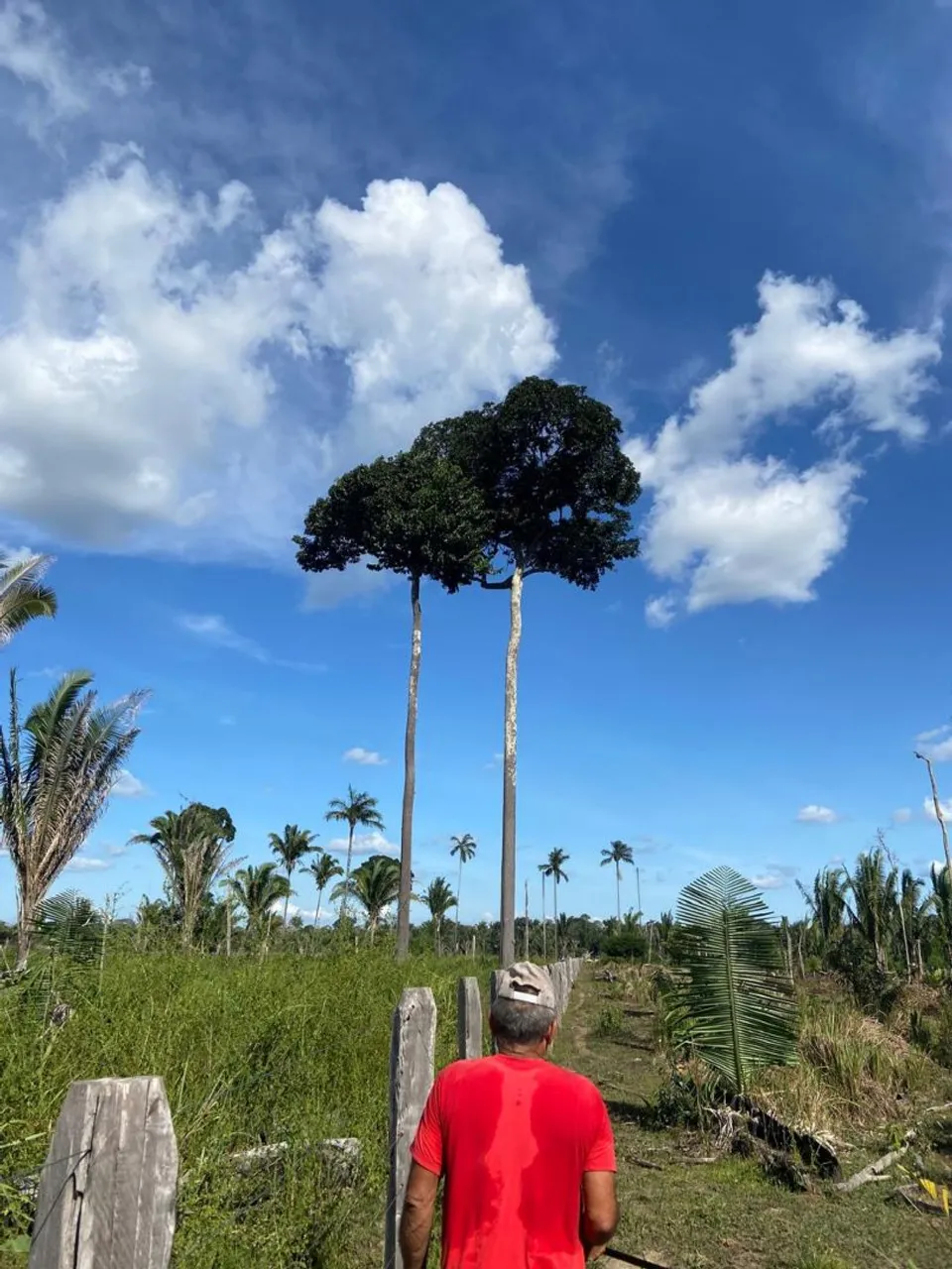 Vendo uma terra no 32