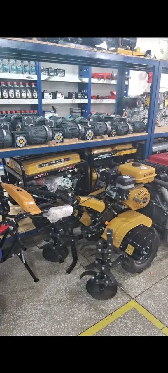 MOTOCULTIVADOR A GASOLINA 6,5L BFG 890 BUFFALO - Foto 2