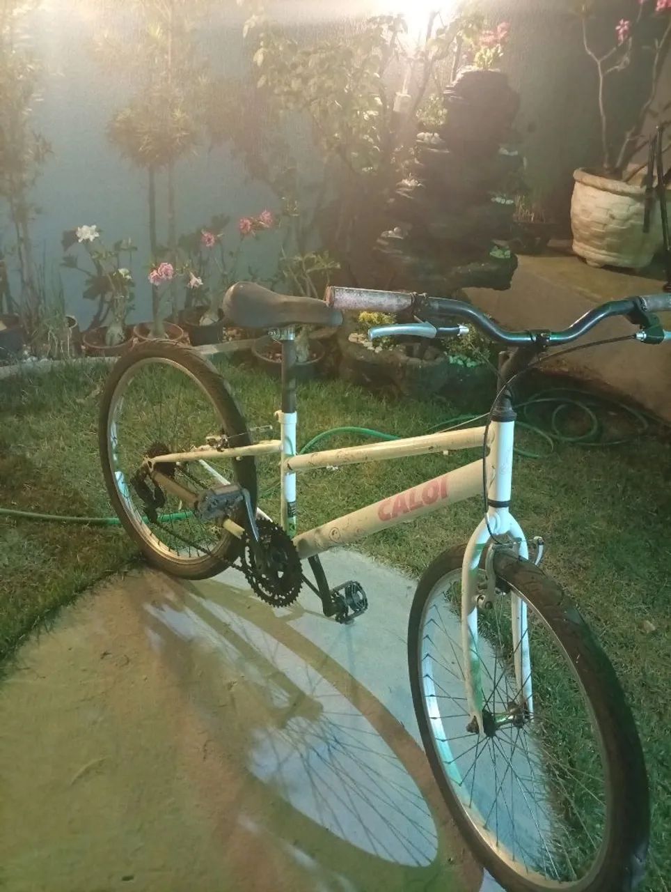 Bicicleta  - Foto 2