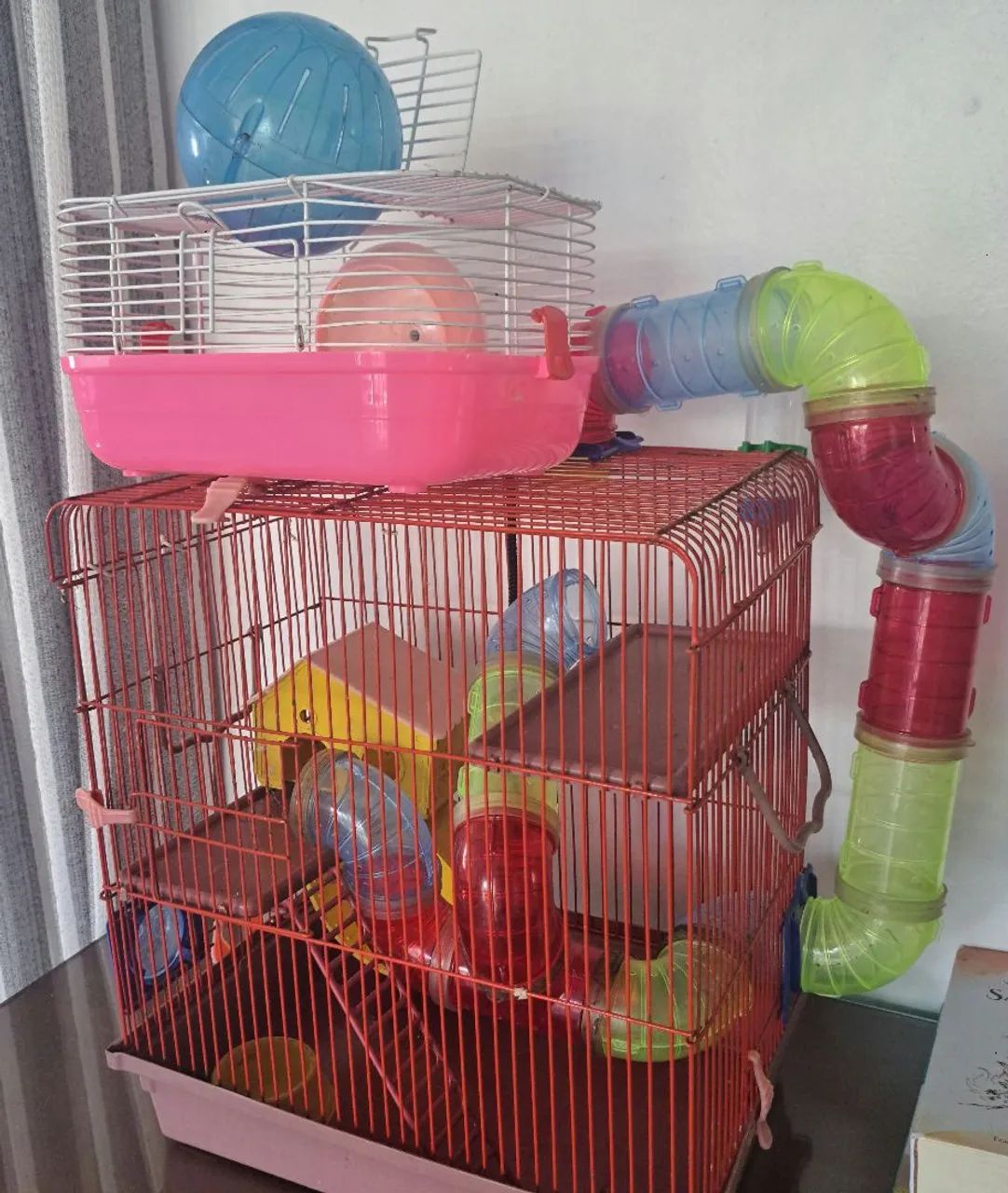 Kit hamister