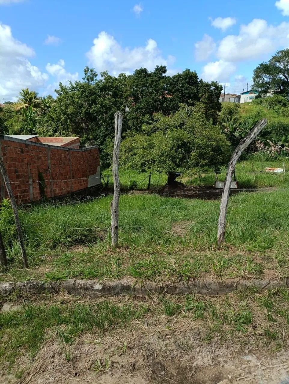 Foto - Estância - 