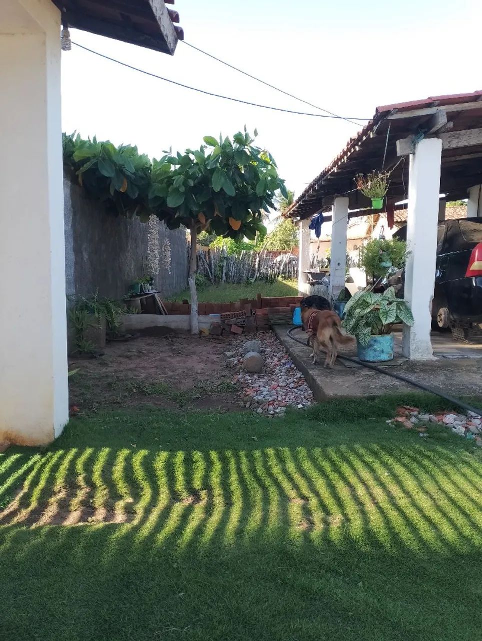 Imóvel  - Foto 3
