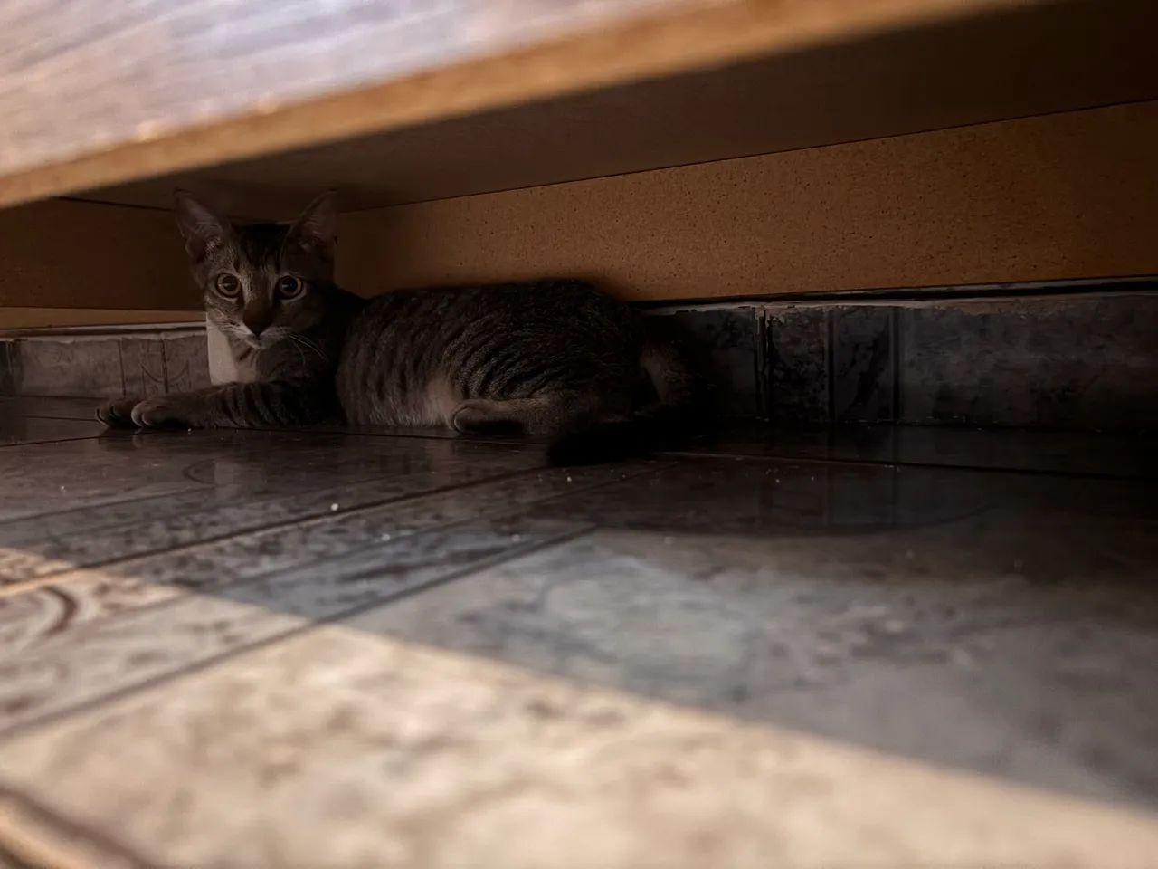 Julieta  - Foto 2