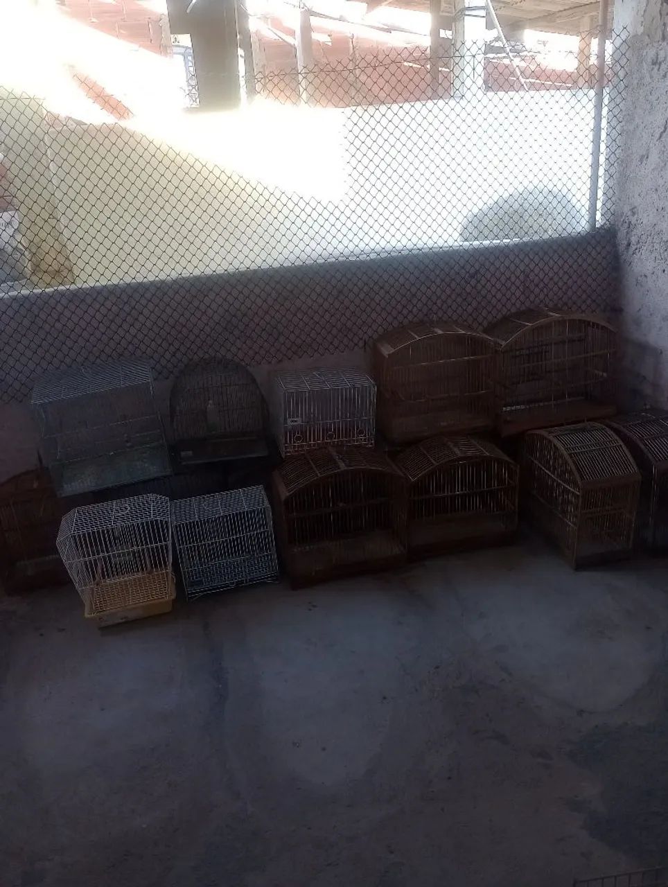 Gaiola - Foto 2