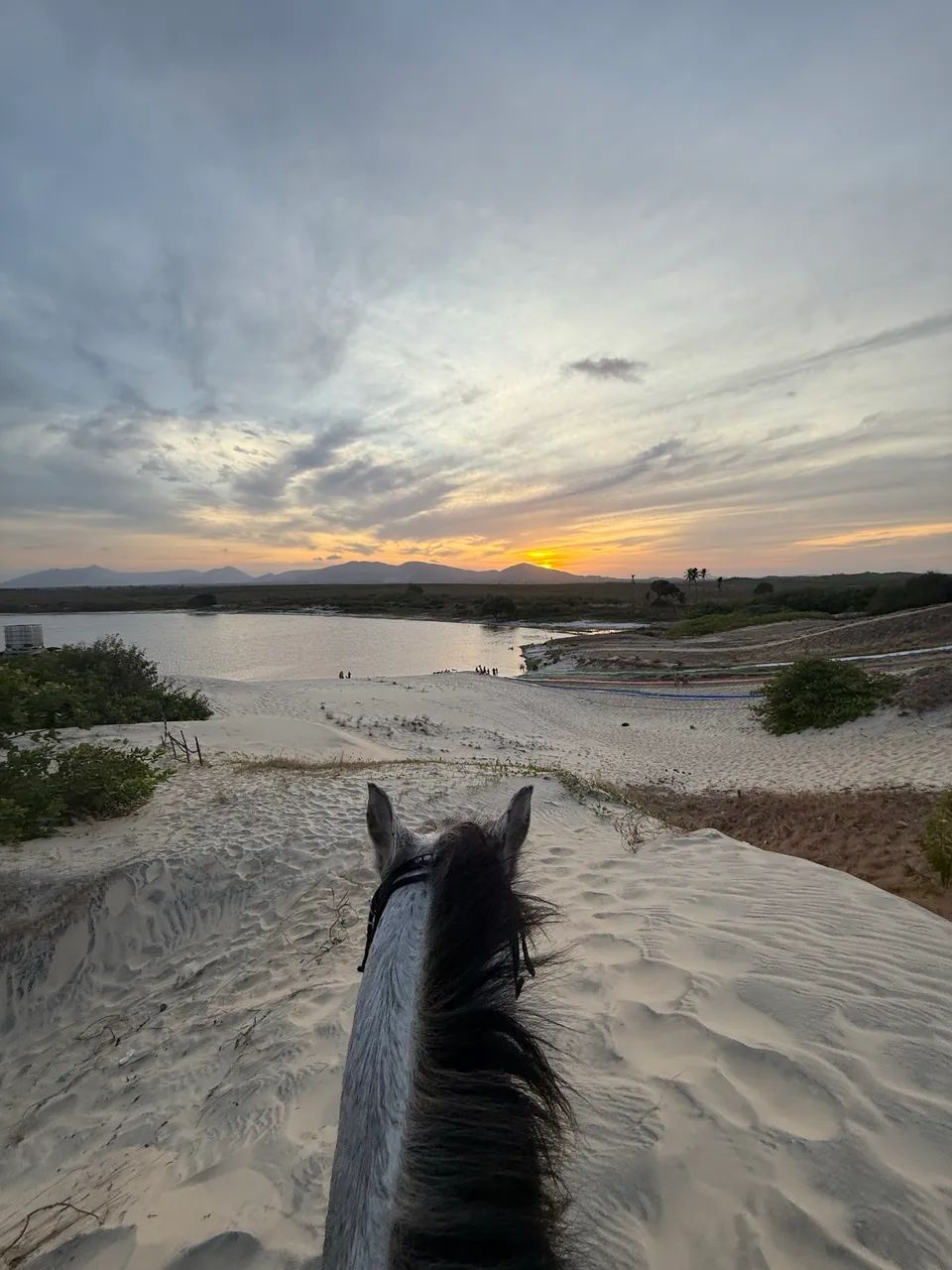 Cavalo garanhão inteiro - Foto 4