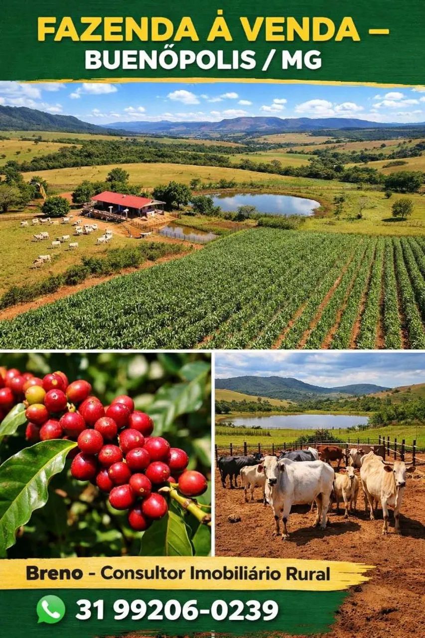 Vendo fazenda 