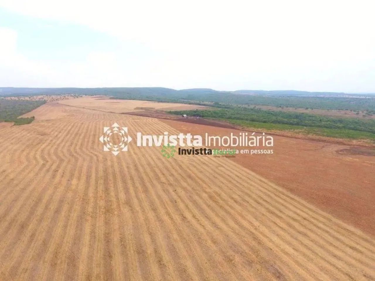 Fazenda Agrícola à Venda na Serra da Lopa  Vale do Araguaia | 705 Hectares Próxima a Paraí - Foto 4