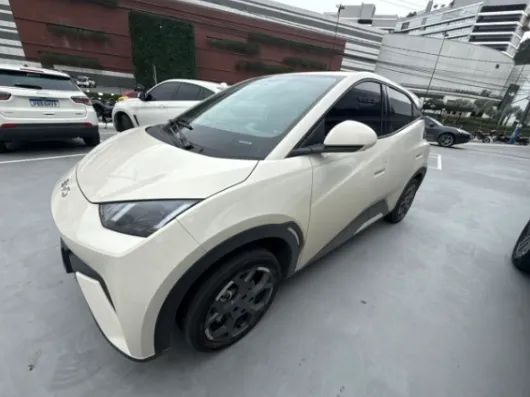 BYD Dolphin Mini (Elétrico) 2026