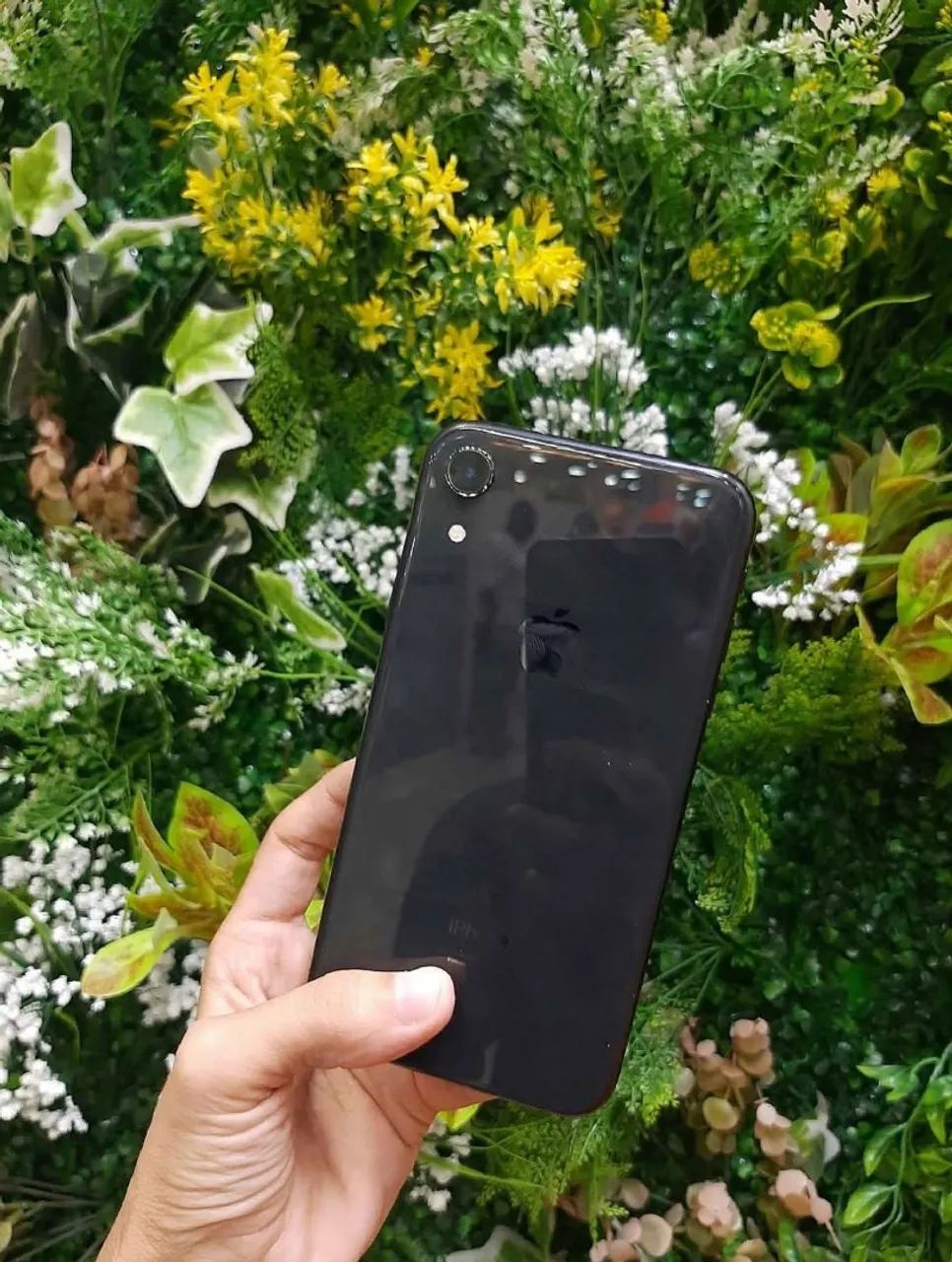 XR novo  - Foto 2