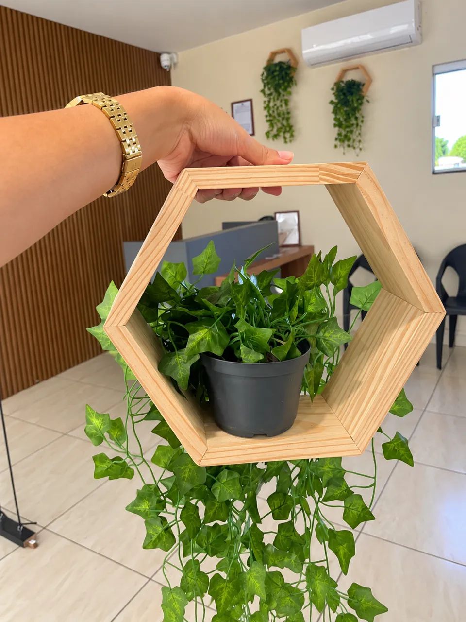 NICHO HEXAGONAL + PLANTA ARTIFICIAL - Foto 2
