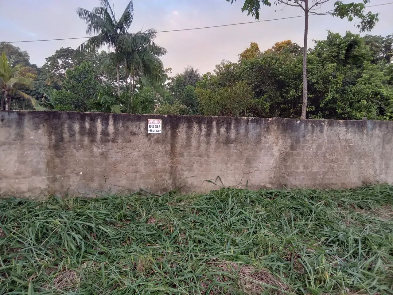Terreno em ótima localização * - Foto 4