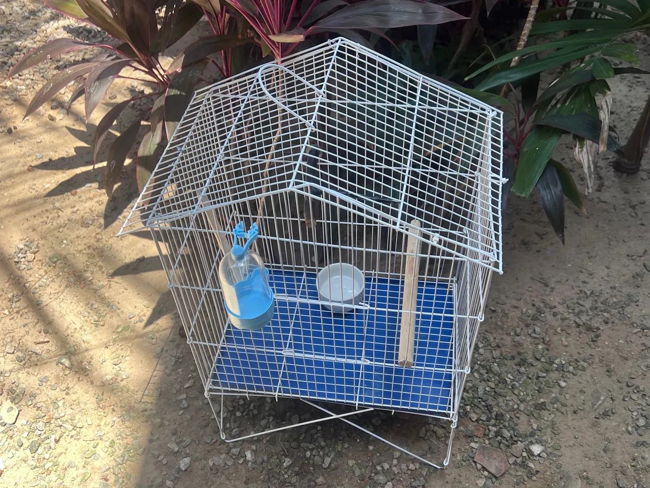 GAIOLA PARA AVES  - Foto 2