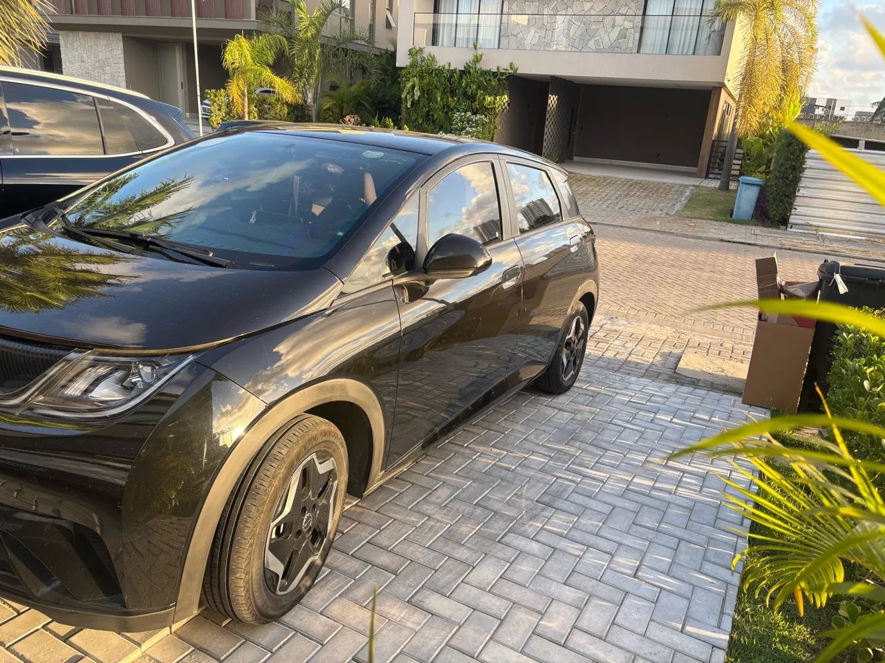 BYD Dolphin Dolphin EV (Elétrico) 2024