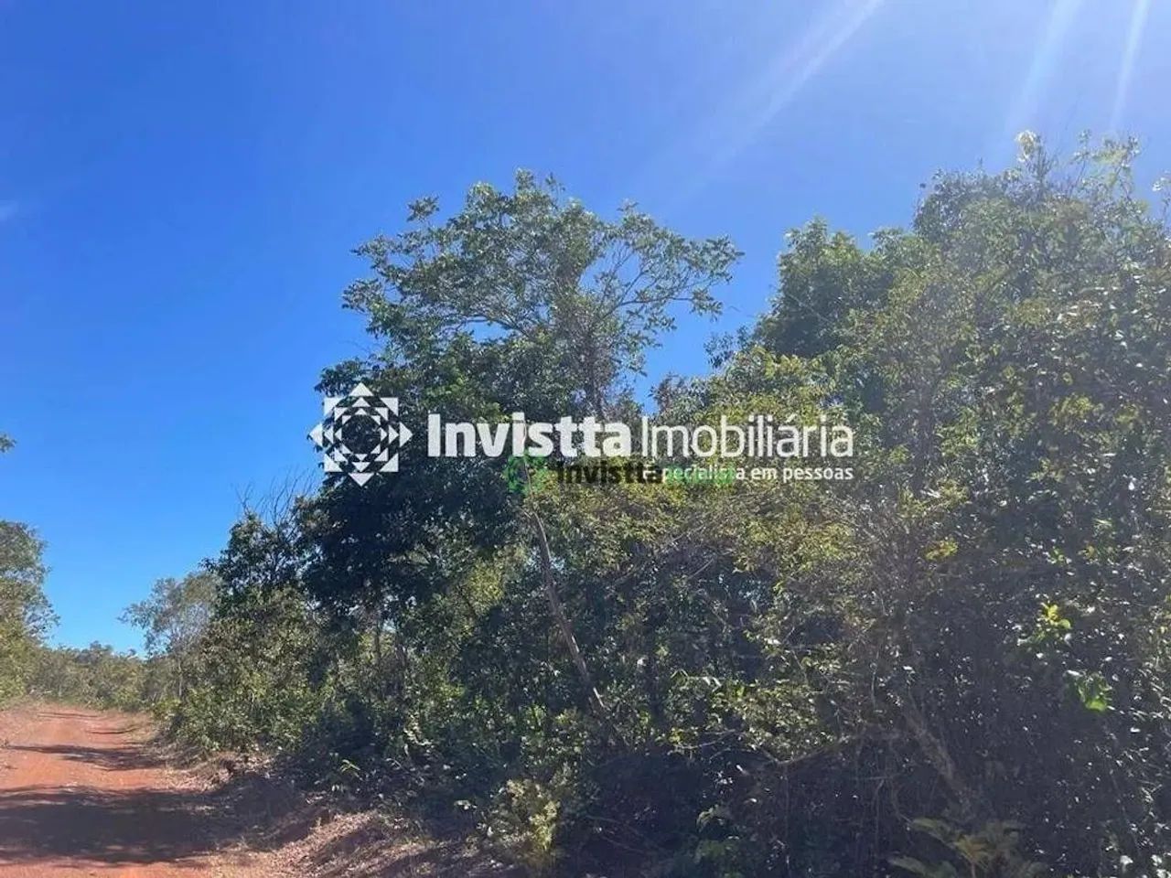 Fazenda com 900 alqueires para lavoura em Almas - Foto 9