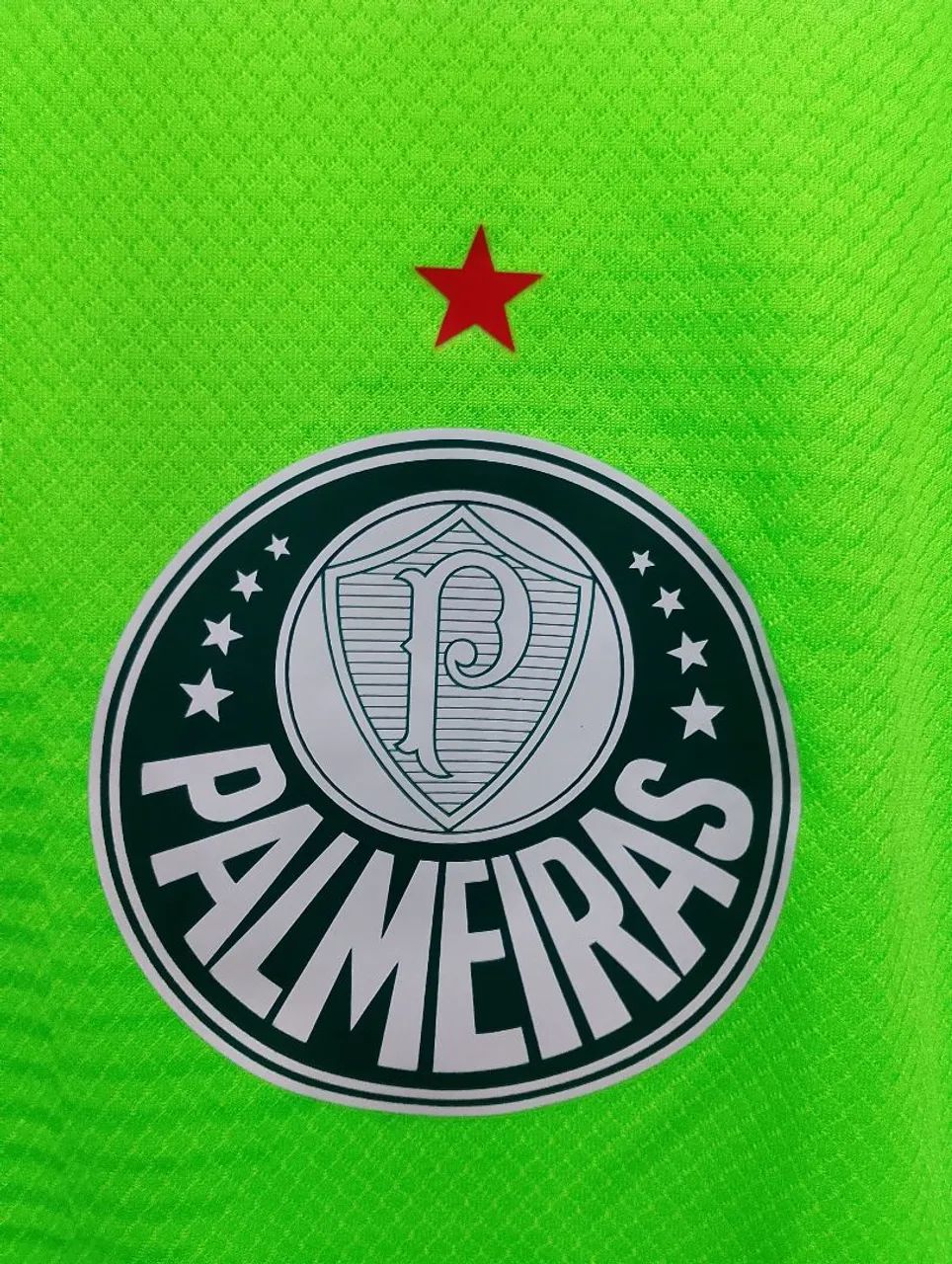 Camisa G de Goleiro do Palmeiras 23 Puma - Masculina - Foto 2