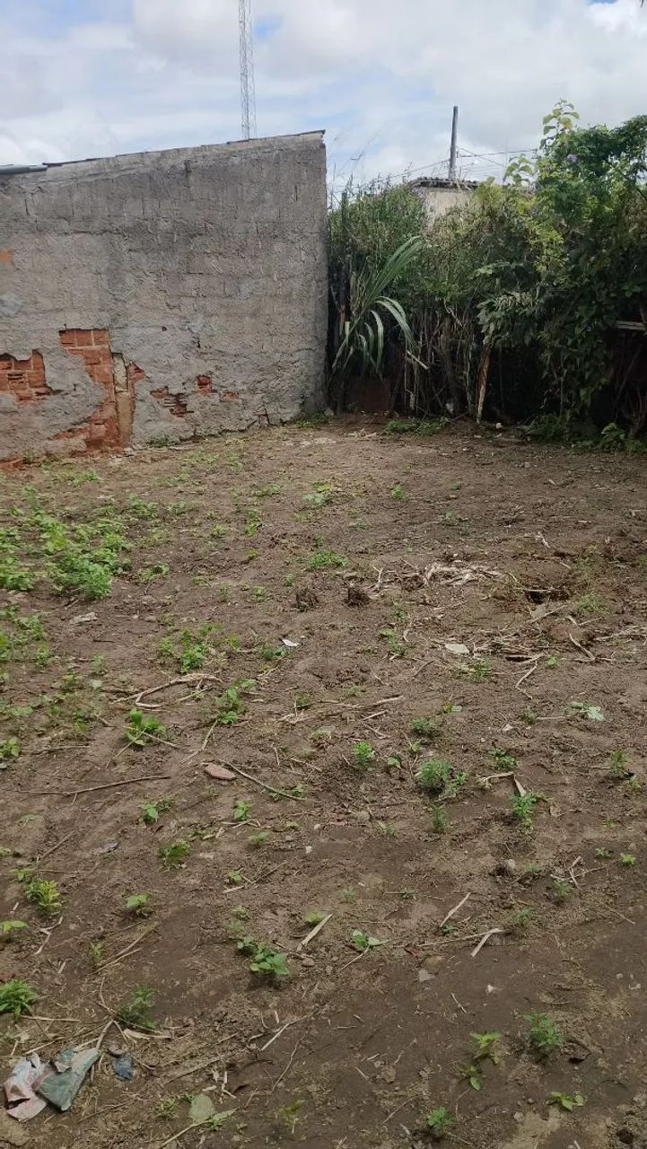 Vende-se terreno, possui uma casa para reforma - Foto 4