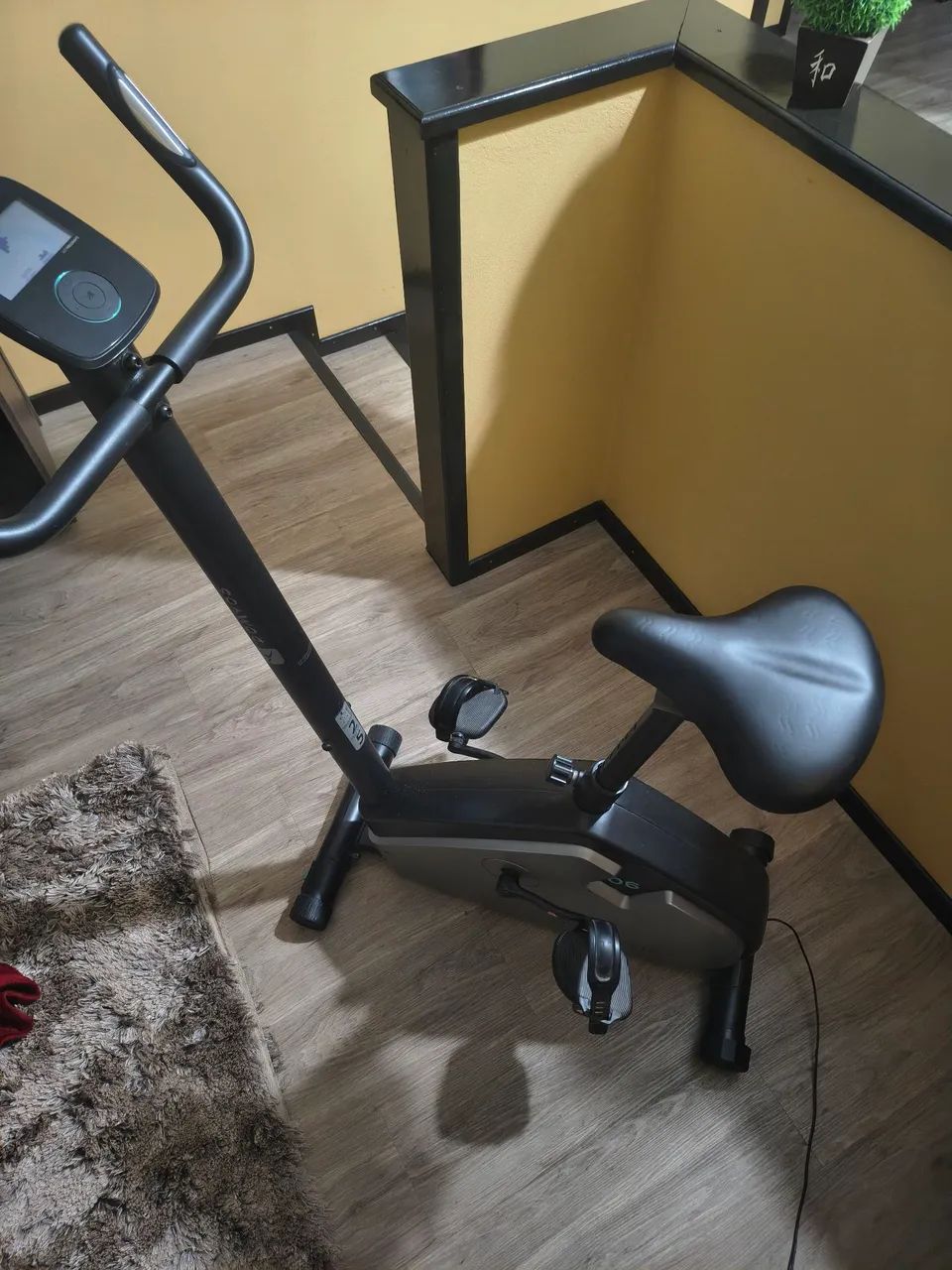 Bicicleta ergométrica