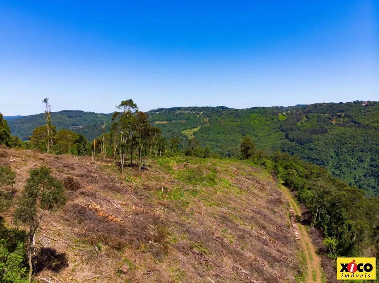Sítio / Chácara para Venda em Nova Petrópolis, São Jacó - Foto 4