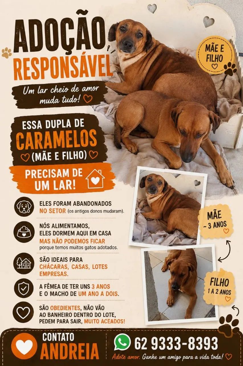 Doação Caramelos