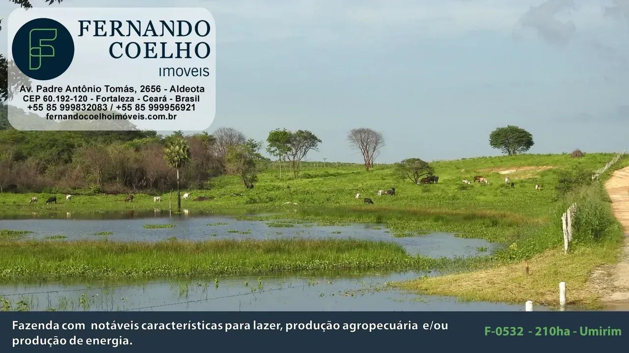 Fazenda para venda com 210ha em Umirim - CE - Foto 3