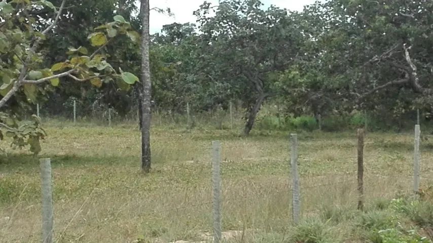 Chácara próximo 3 marias - Foto 5