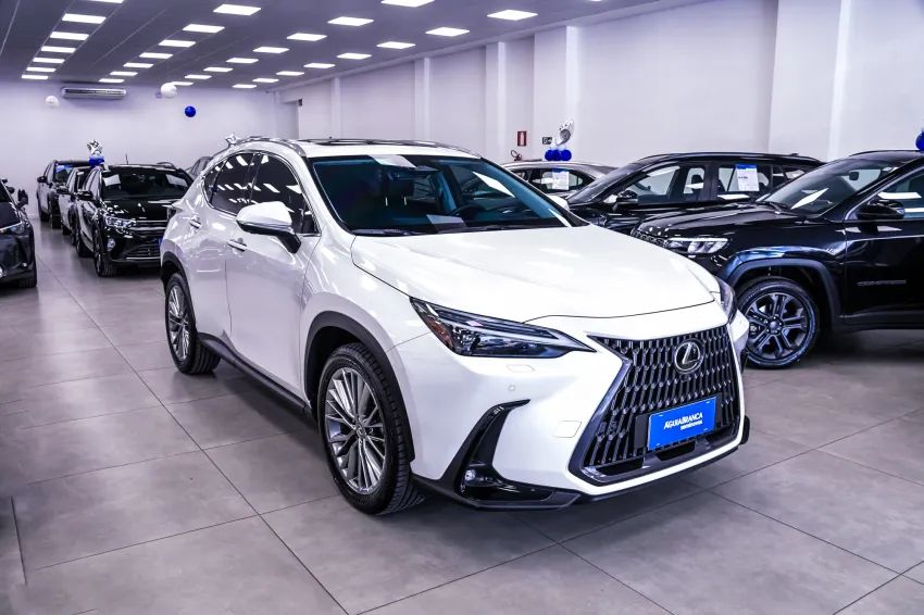 Lexus NX-350h Luxury 2.5 16V Aut. (hybrid), foto 5 de 19