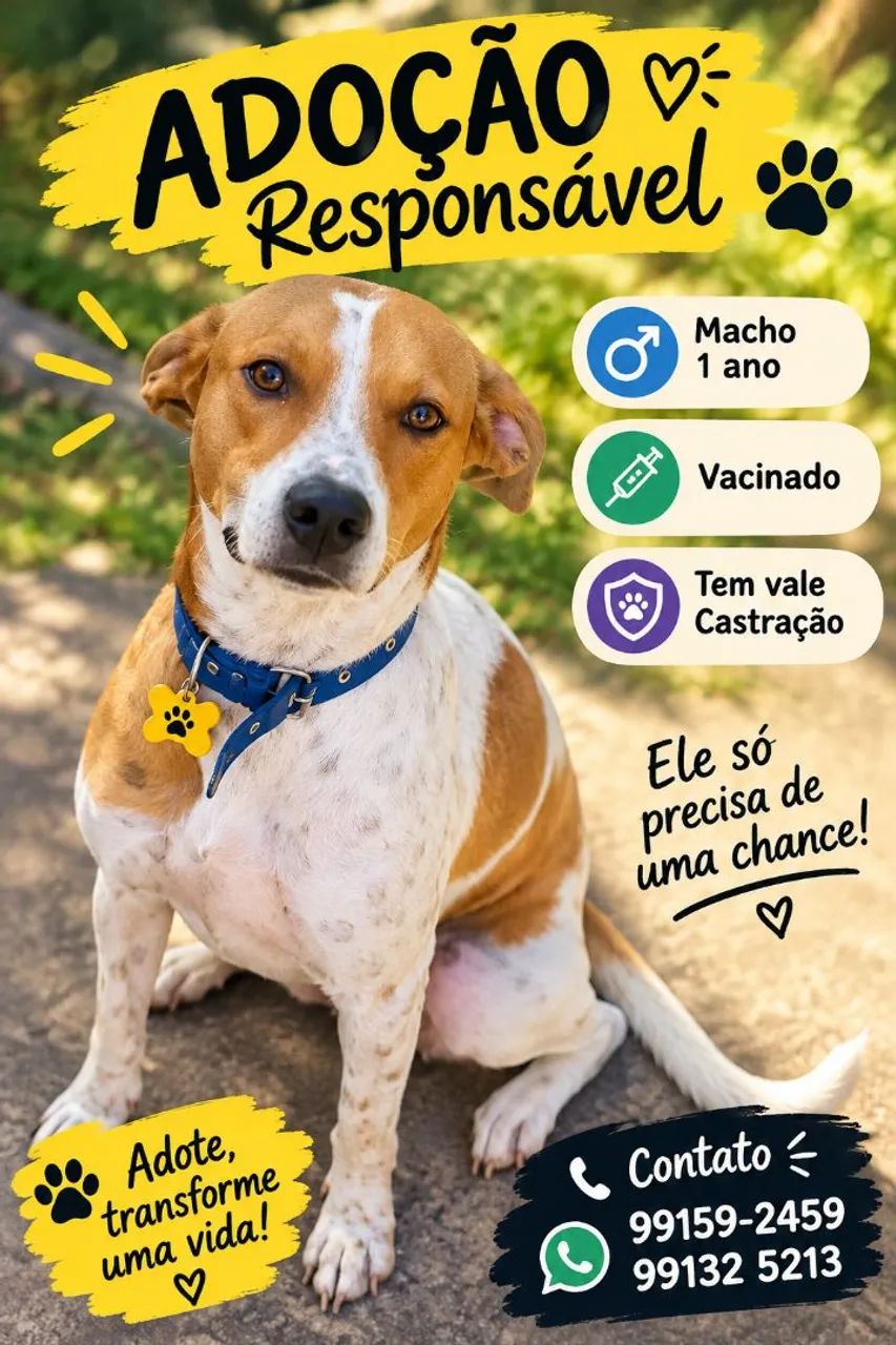 Adoção responsável 
