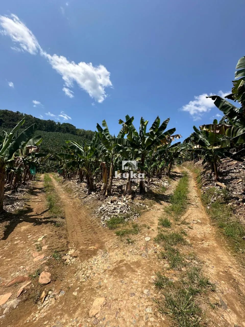 TERRENO À VENDA - Foto 4