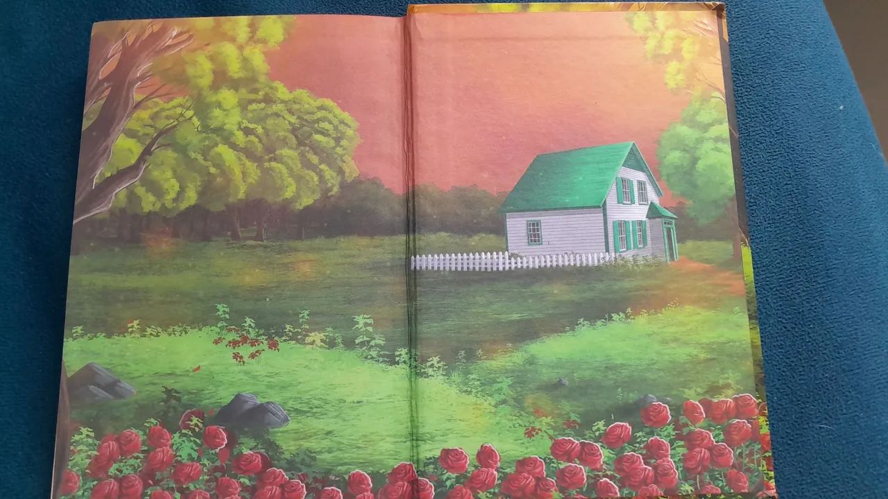 Livro Anne - Foto 3