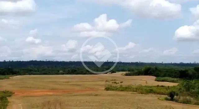 Fazenda de Alta Produtividade com Logística Impecável. codigo: 269102 - Foto 5