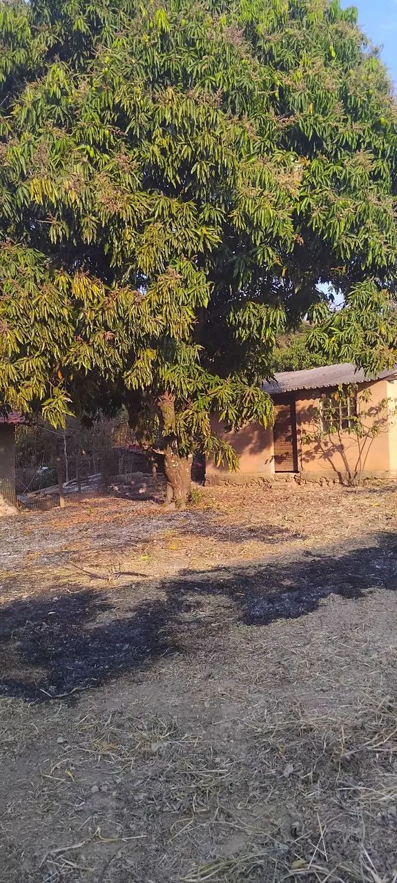 1 lote com 760 metros  - Foto 4