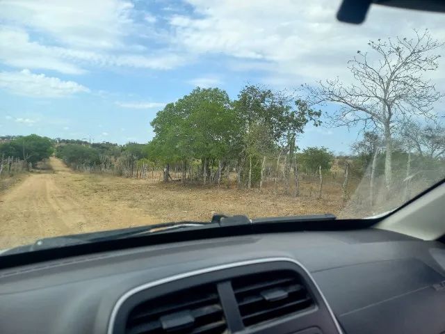 Foto - Riachão do Jacuípe - 