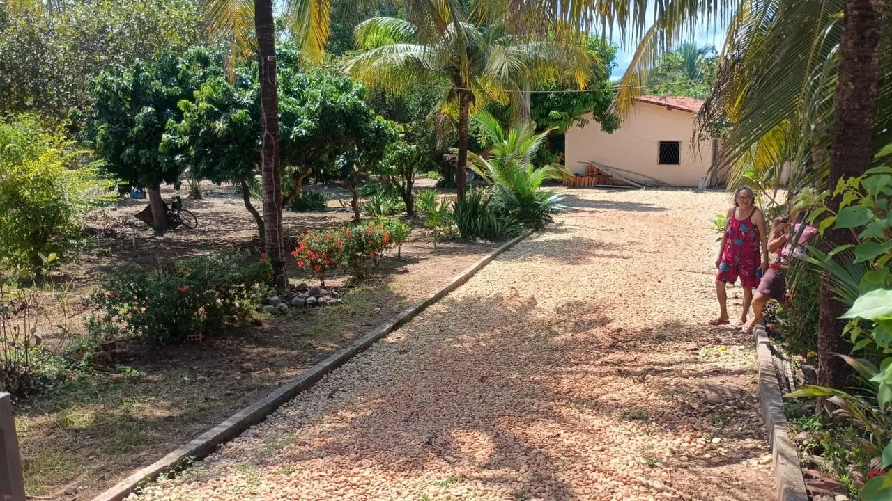 Sítio no povoado cacimba velha - Foto 4