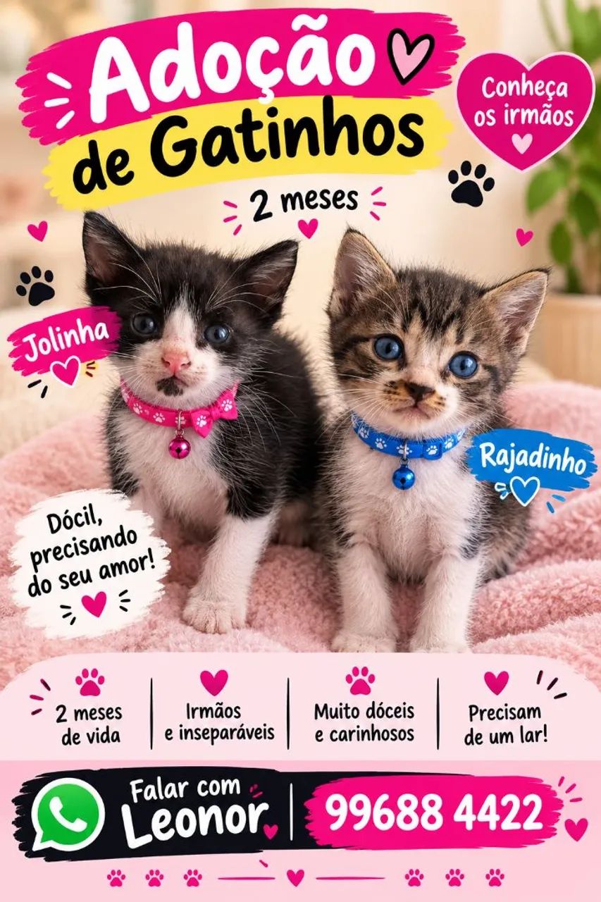 FILHOTES FOFOS - Foto 4