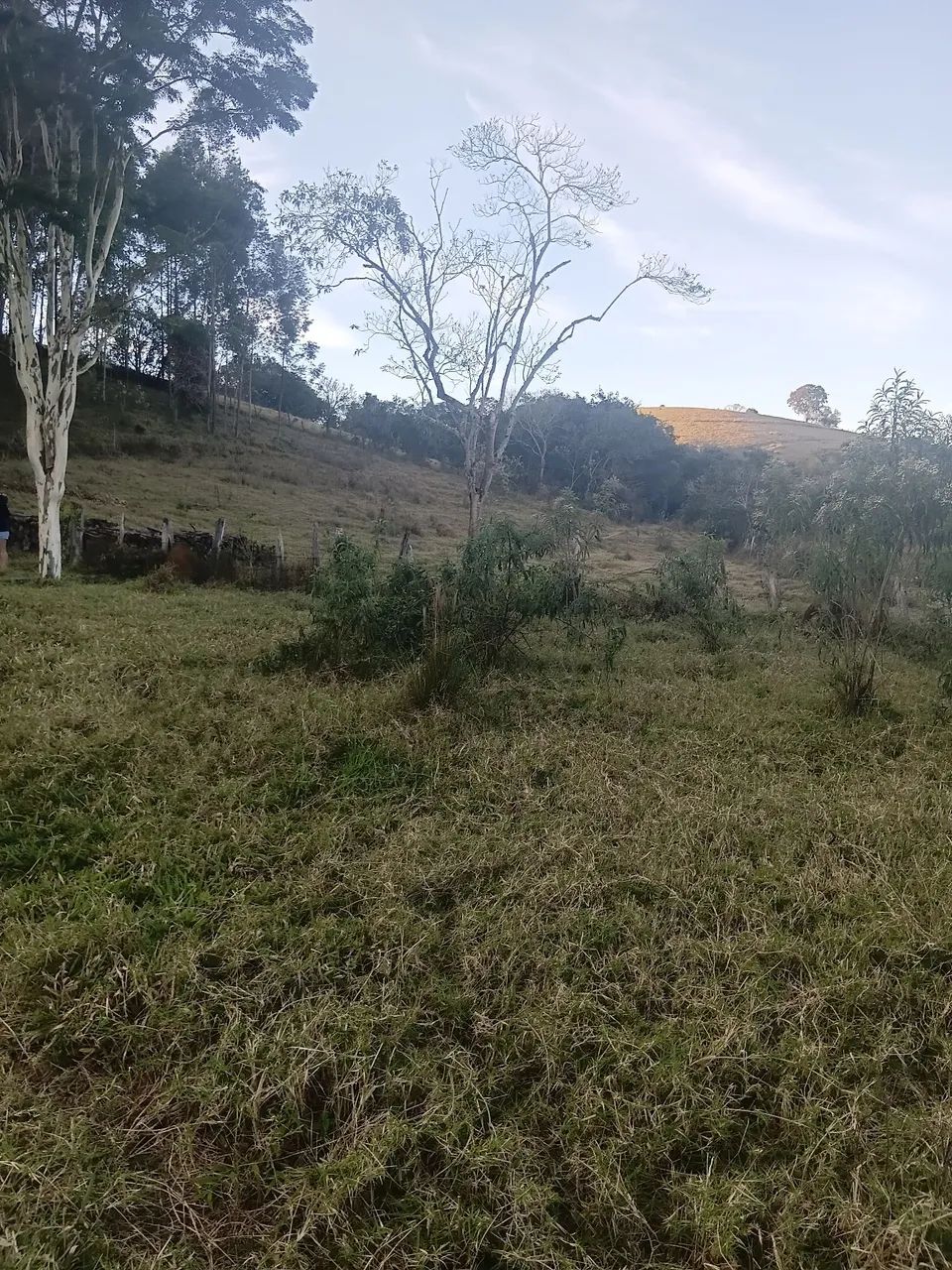 Vendo terreno  - Foto 4