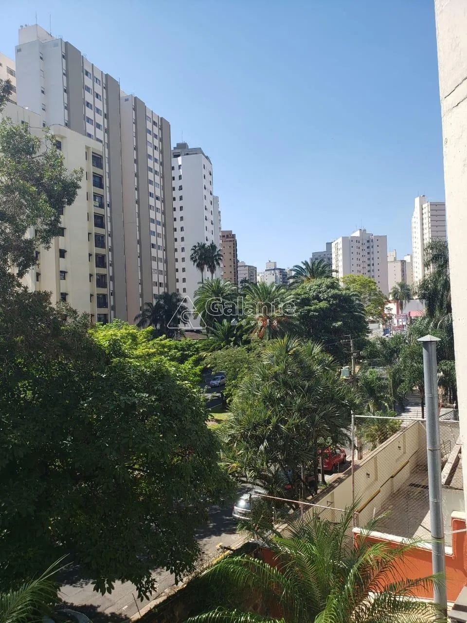apartamento - Jardim Proença - Campinas - Foto 3
