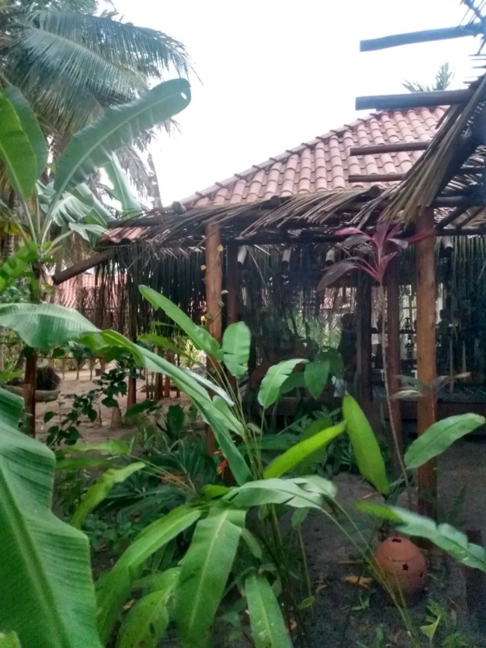 DONO VENDE Bangalô de Madeira  - Foto 2