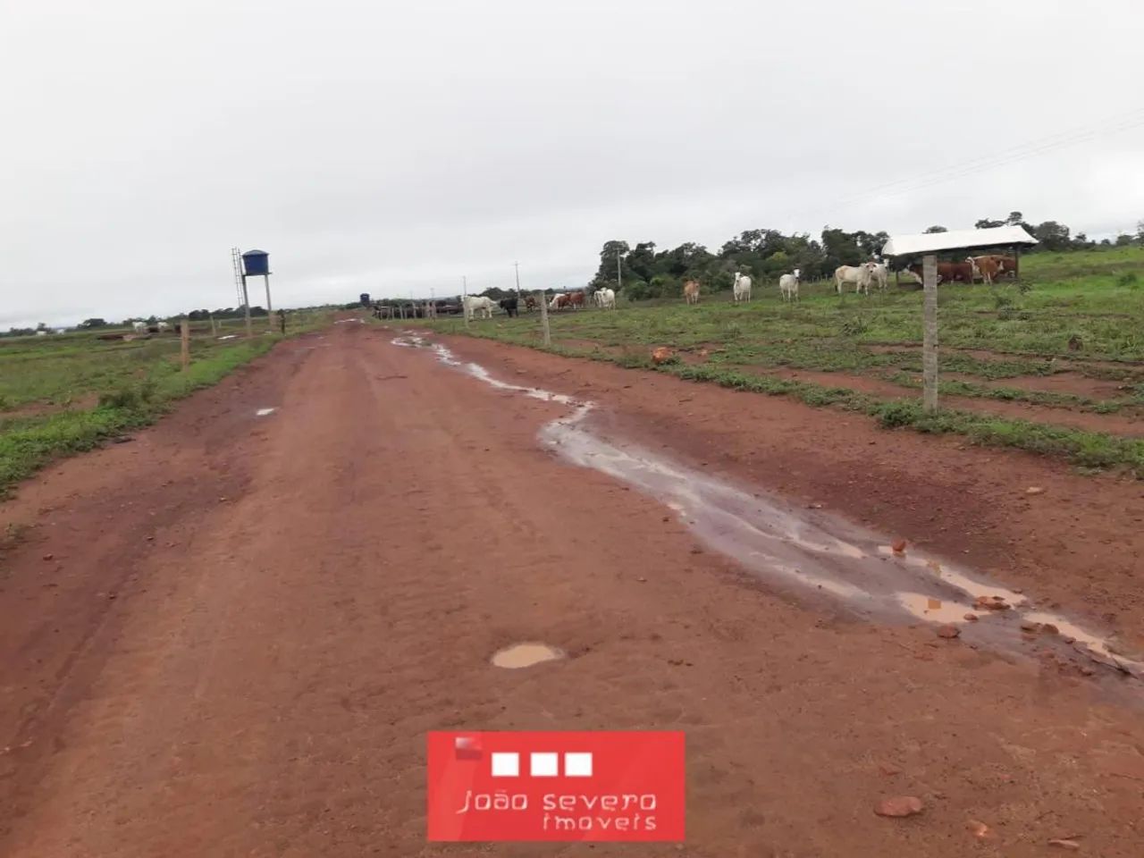 Fazenda para Venda em Balsas - Foto 4