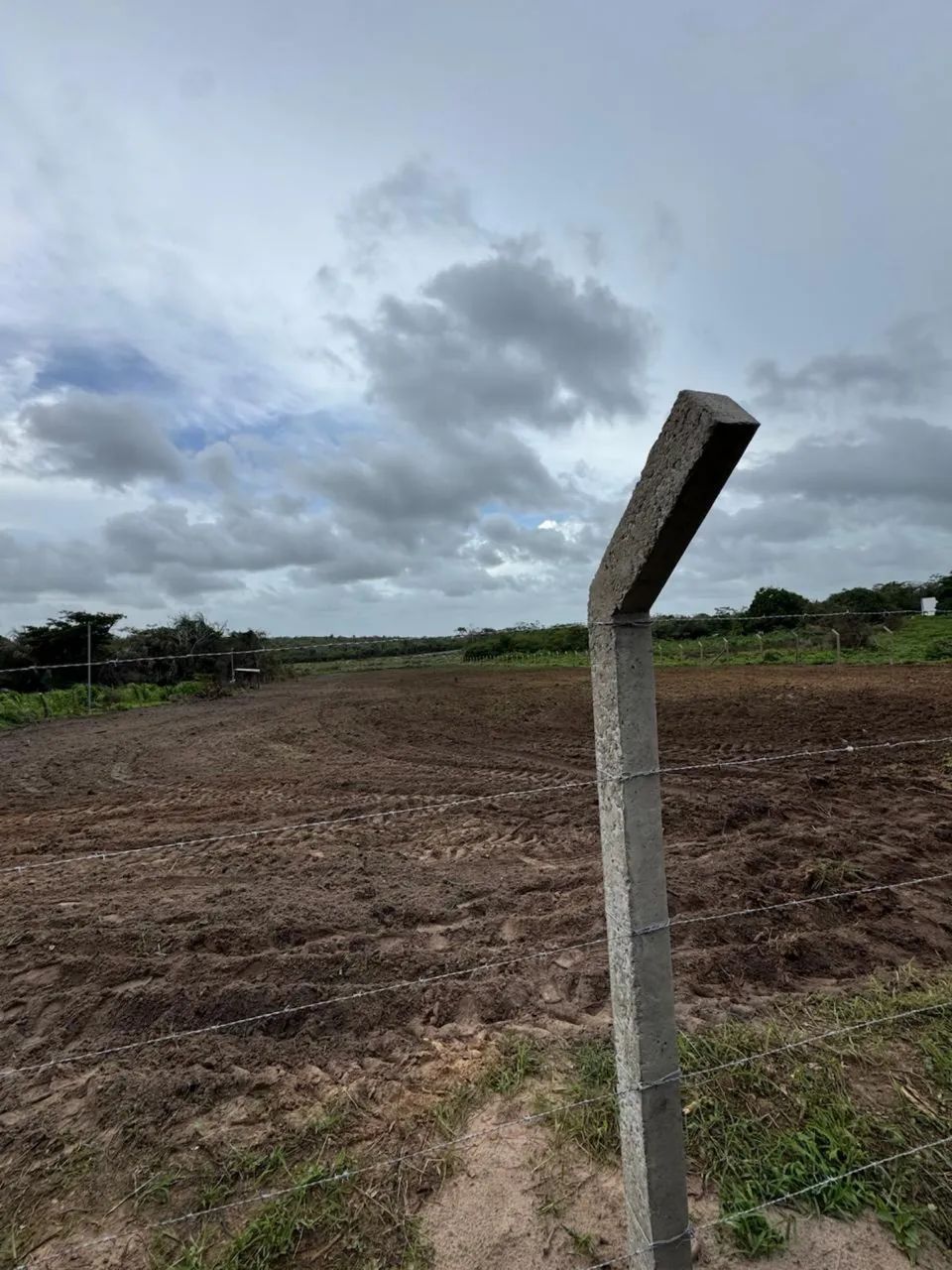 Terreno, Sítio todo documentado Iguaiba. - Foto 3