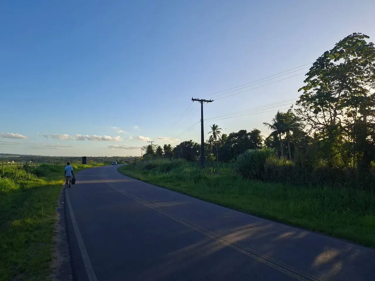 ÁREA DE TERRA, DISPONIVEL À 500M DA BR - 324 - Foto 2